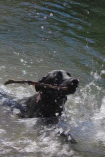 Luna Painting '13 (3).jpg