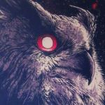 owl_profile.jpg