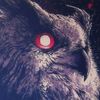 owl_profile.jpg