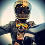 Profile (BC-Shipping)